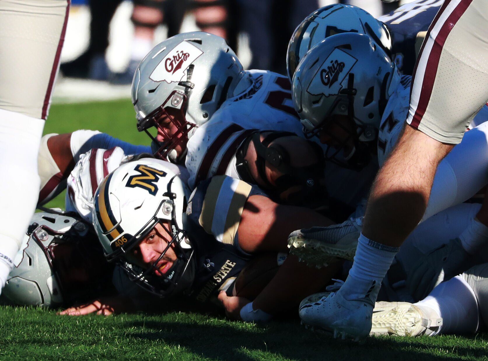 Cat Griz 2022
